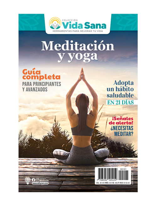 vidasana_meditacion_yoga