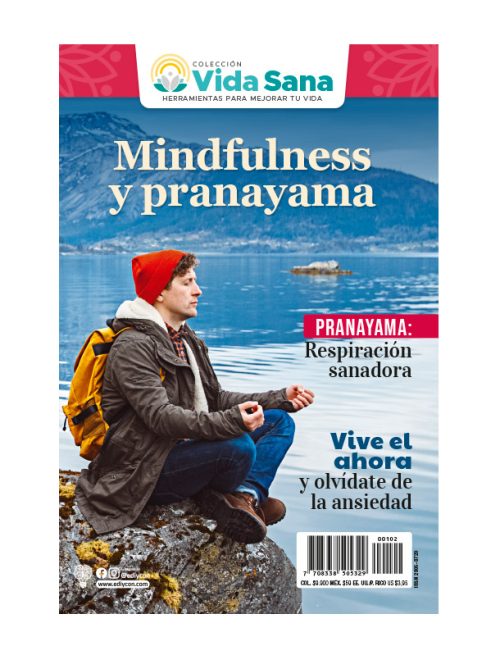 vidasana_mindfulness_pranayama