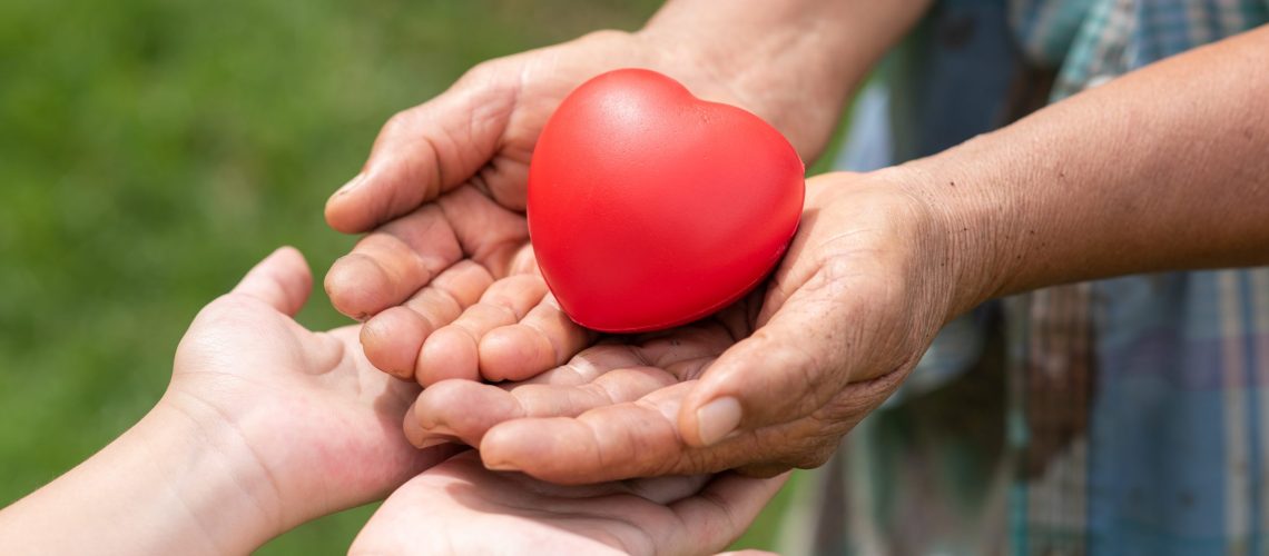 The red rubber heart on hands of elderly and child. Showed the cooperate, love, care, charity of people with differences diversity for sustain develop of farmer, community, society and the environment